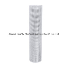 China Supply Ebay Hot Sale 1/2" Galvanized Welded Wire Mesh Cloth